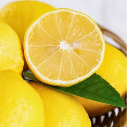 인하네 팬시 레몬